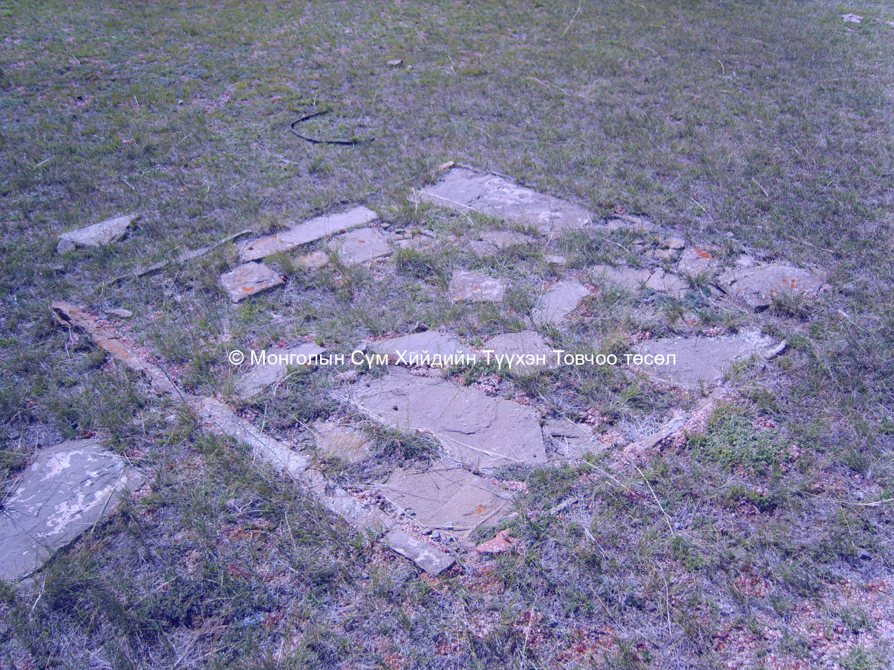 Дөрвөлжин зогосоолууд 